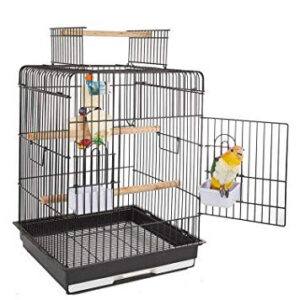 Santa Monica Cage