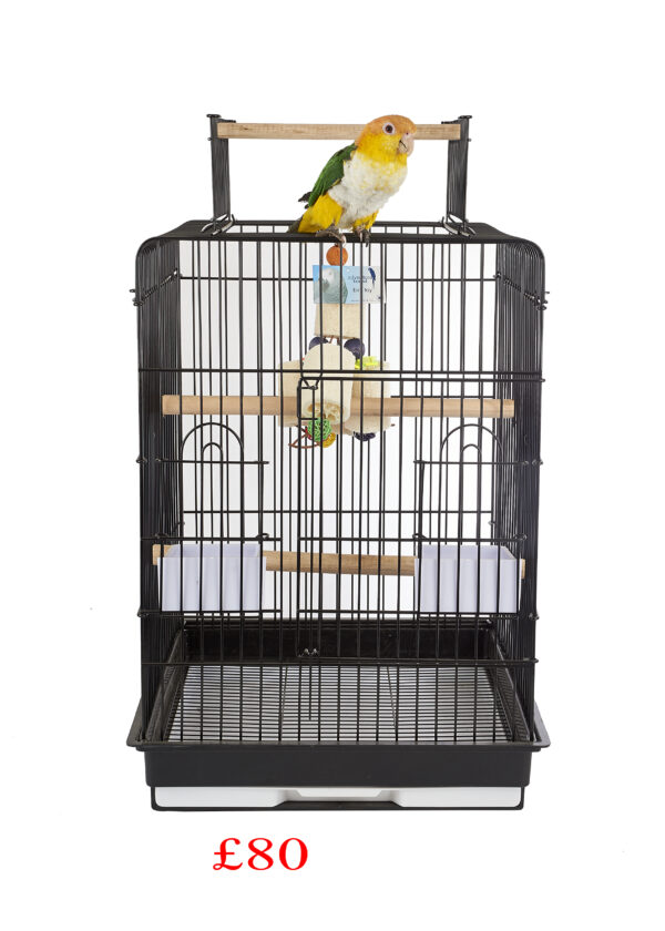 Santa Monica Cage - Image 2