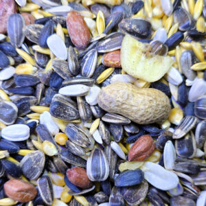 Premium Parrot Food UK | High Energy Mix & Zero Wastage 2kg