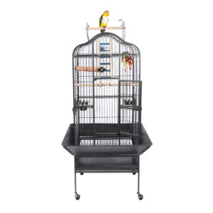Liberta Eagle Medium Parrot Cage